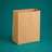 Bolsa de papel kraft mediana 27 x 16 x 35 cm