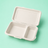 Almeja rectangular 2 divisiones de caña de azúcar 6" x 9"